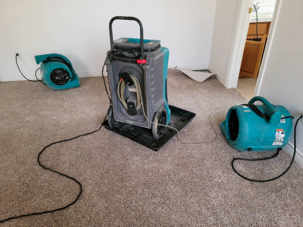 Best Water damage cleanup near me  in Greene, RI