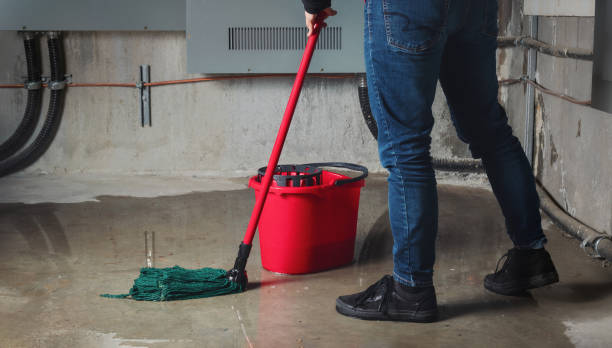 Best Water damage restoration near me  in Greene, RI