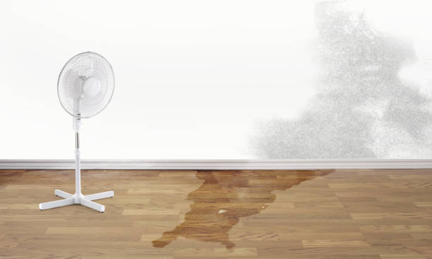 Best Residential water damage restoration  in Greene, RI