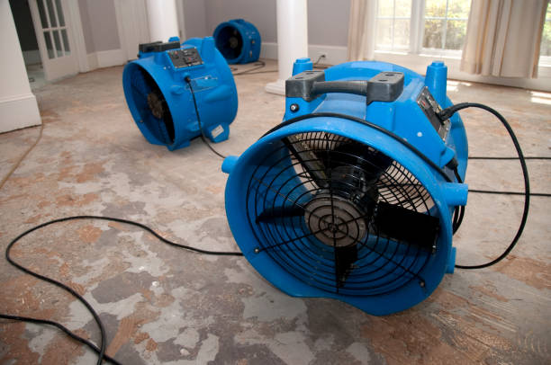 Best Water damage contractors near me  in Greene, RI